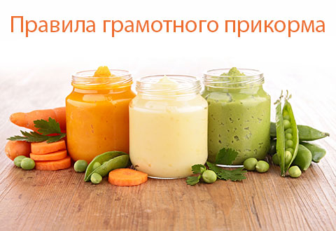 Правила грамотного прикорма