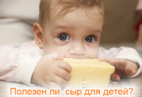 Не преувеличена ли польза сыра?