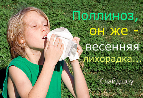 Поллиноз, он же — сенная лихорадка...