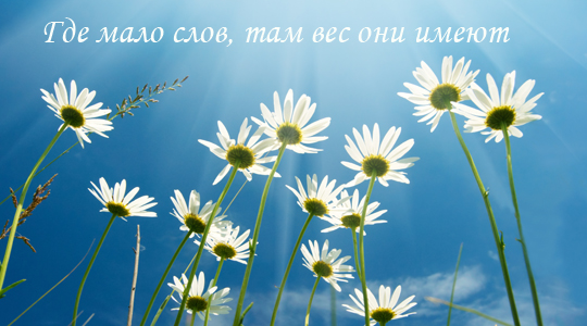 Седьмой лунный день: Мысли материальны, слова осязаемы Седьмой лунный день: Мысли материальны, слова осязаемы