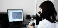 Ткани сердца вырастили из клеток кожи Ткани сердца вырастили из клеток кожи