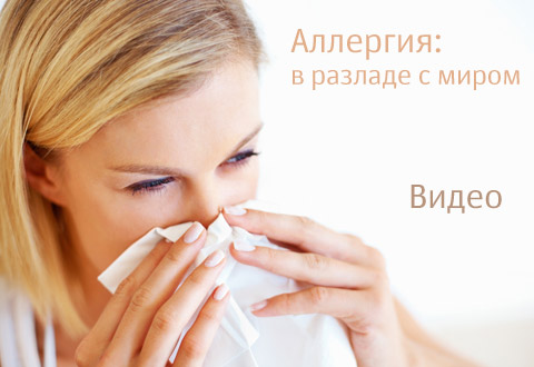 Аллергия: в разладе с миром