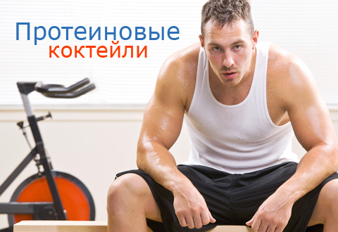 Чем полезны и опасны протеиновые коктейли?