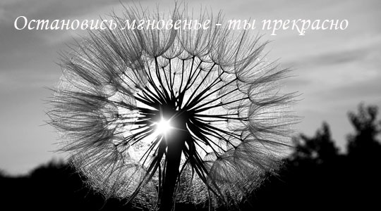 Тридцатый лунный день: Все хорошее когда-нибудь начинается Тридцатый лунный день: Все хорошее когда-нибудь начинается