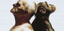 Ученые выяснили, чем человек отличается от обезьян