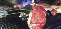 Ученые синтезировали мясо для вегетарианцев