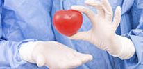 Медики научились выращивать ткани сердца
