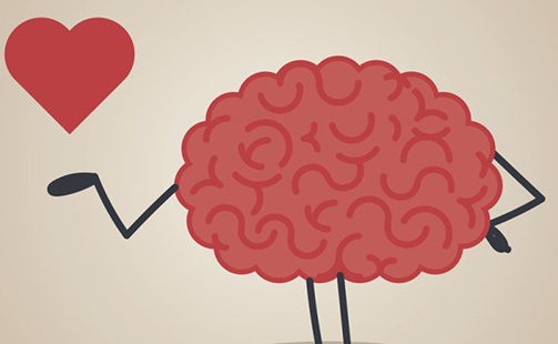 Что происходит с мозгом влюбленного 