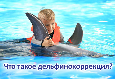 Что такое дельфинокоррекция?