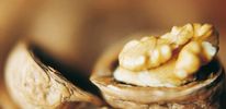 Для сердца нет антиоксидантов лучше, чем грецкие орехи. Так утверждают американские ученые. 
