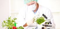 Российские ученые требуют запретить ГМО