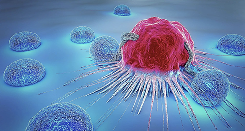 Стволовые клетки могут использованы для лечения агрессивных видов рака