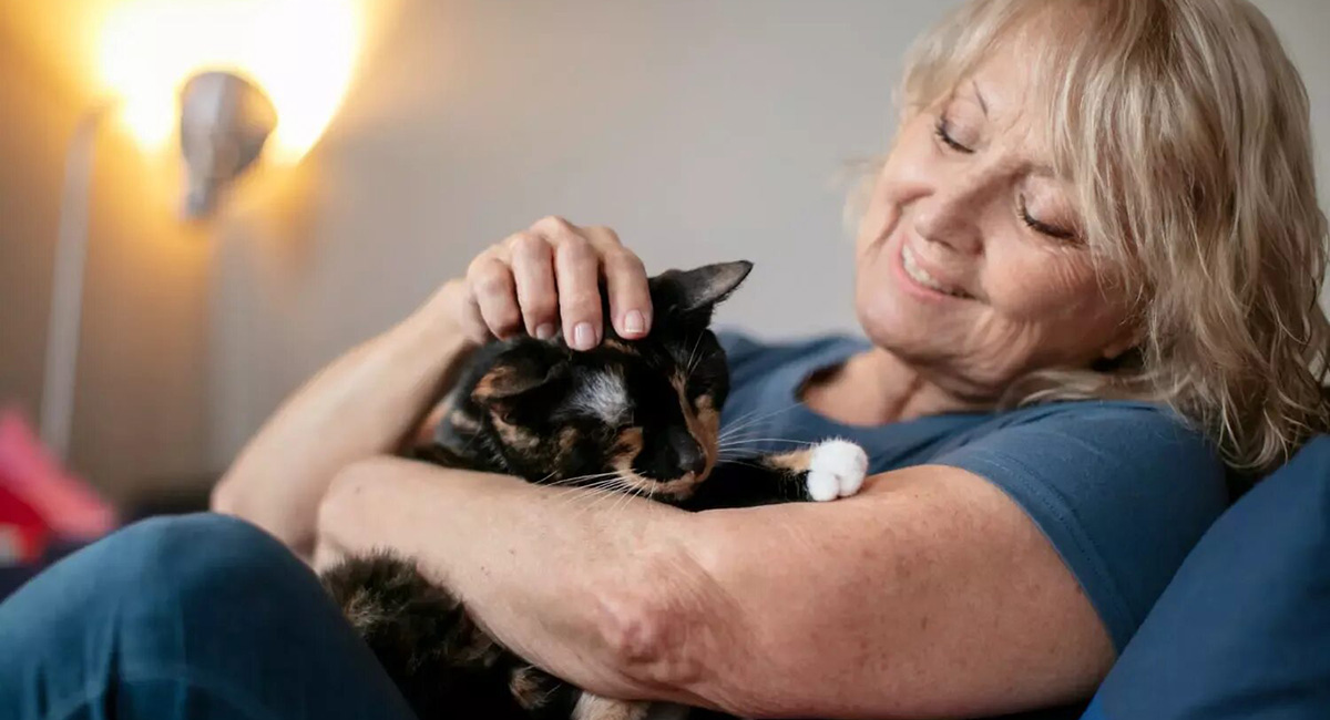 кошка лечит