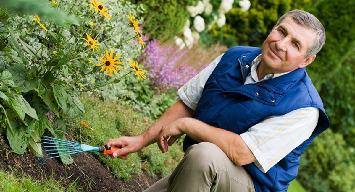 Кто такие андрогины? Садовод