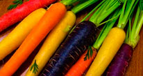 Морковь спасет от возрастной макулярной дегенерации