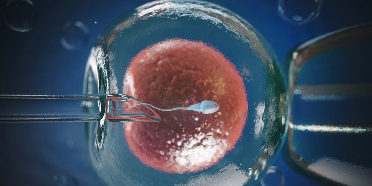 ЭКО оплодотворение, беременность