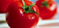 Больше всего пользу здоровью способны принести... помидоры. По крайней мере именно так утверждают американские ученые.