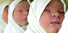 Впервые за последнюю четверть века жительница Великобритании родила сразу шестерых детей.