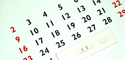 программа планирования ребенка, календарь