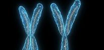 Y-хромосома реабилитирована