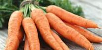 Морковь полезна мужчинам
