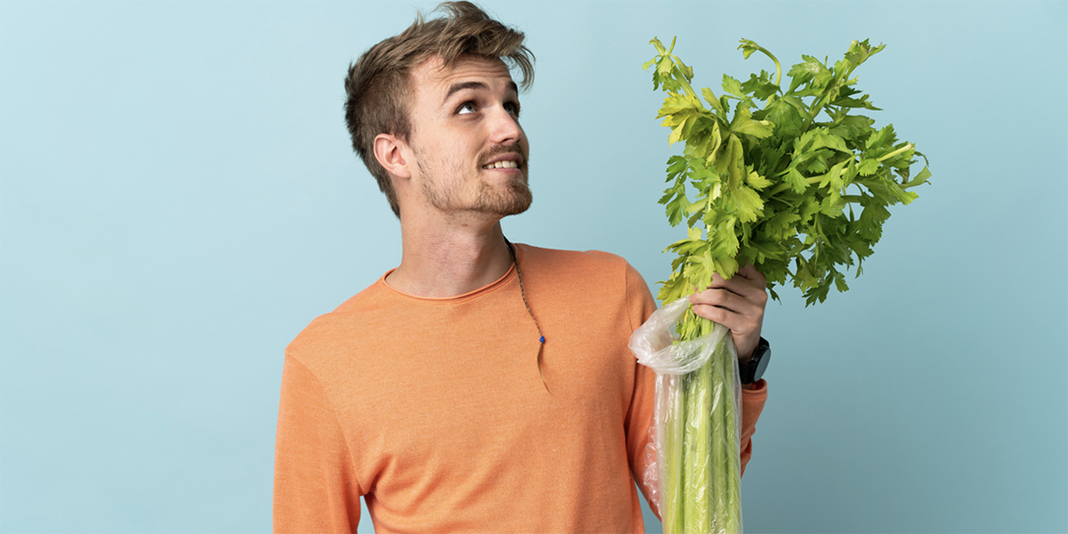 Сельдерей полезные свойства фреш