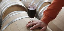 Ученые опровергли пользу красного вина и шоколада