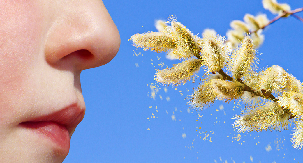 Воздушная пыльца. Поллиноз пыльца. Поллиноз аллергены. Пыльцевые аллергены. Аллергия на пыльцу.