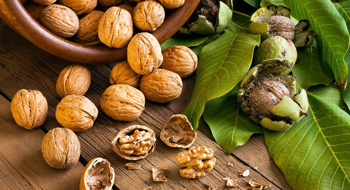 польза от грецкого ореха