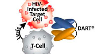 Молекула DART делает ВИЧ уязвимым