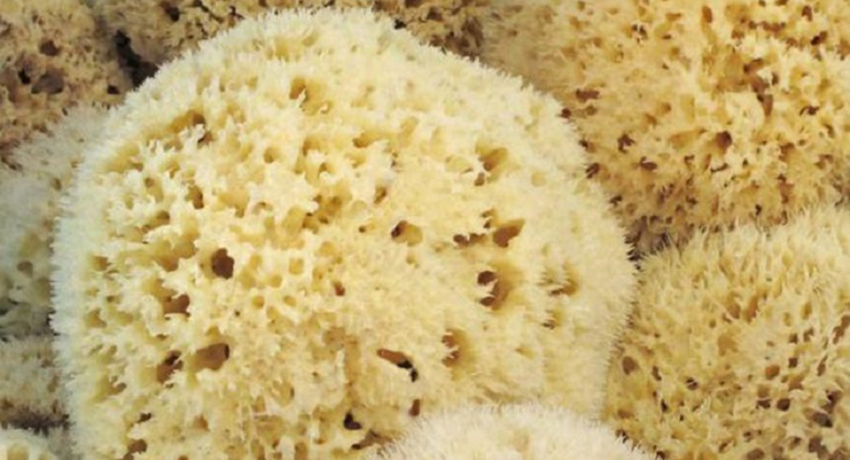 мочалка натуральная