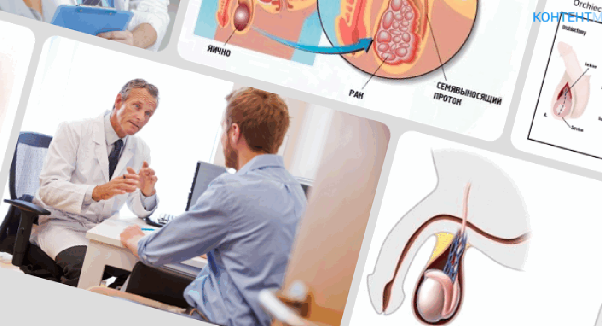 Травмы полового члена. Хирург 