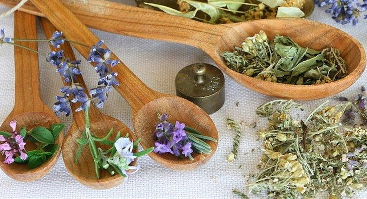 Лечение народными средствами при беременности, травы