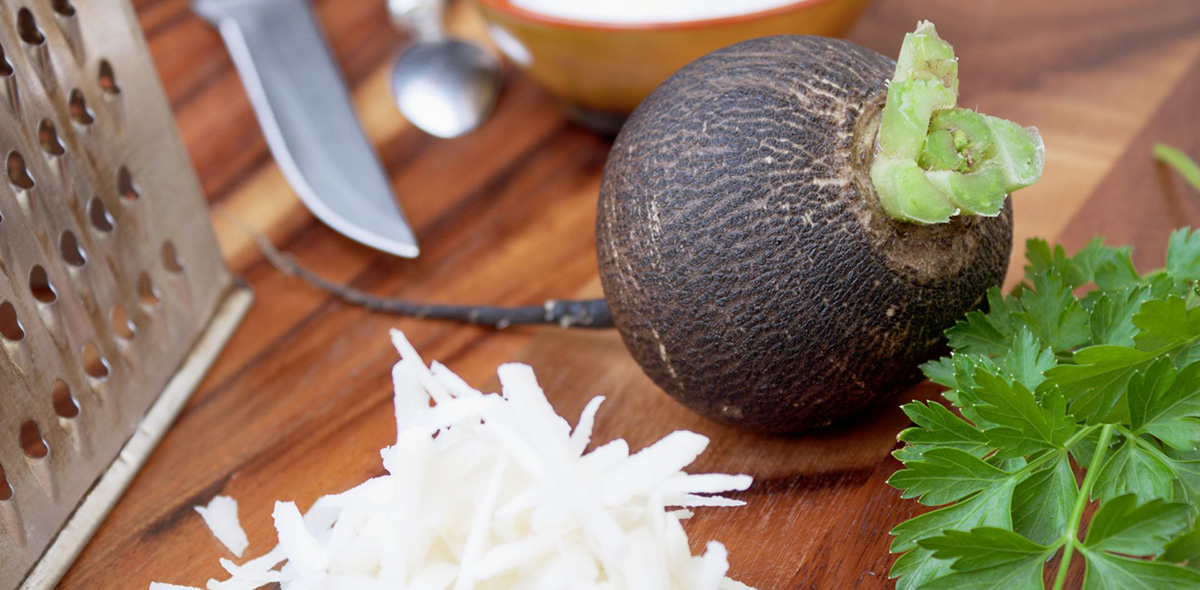 польза редьки