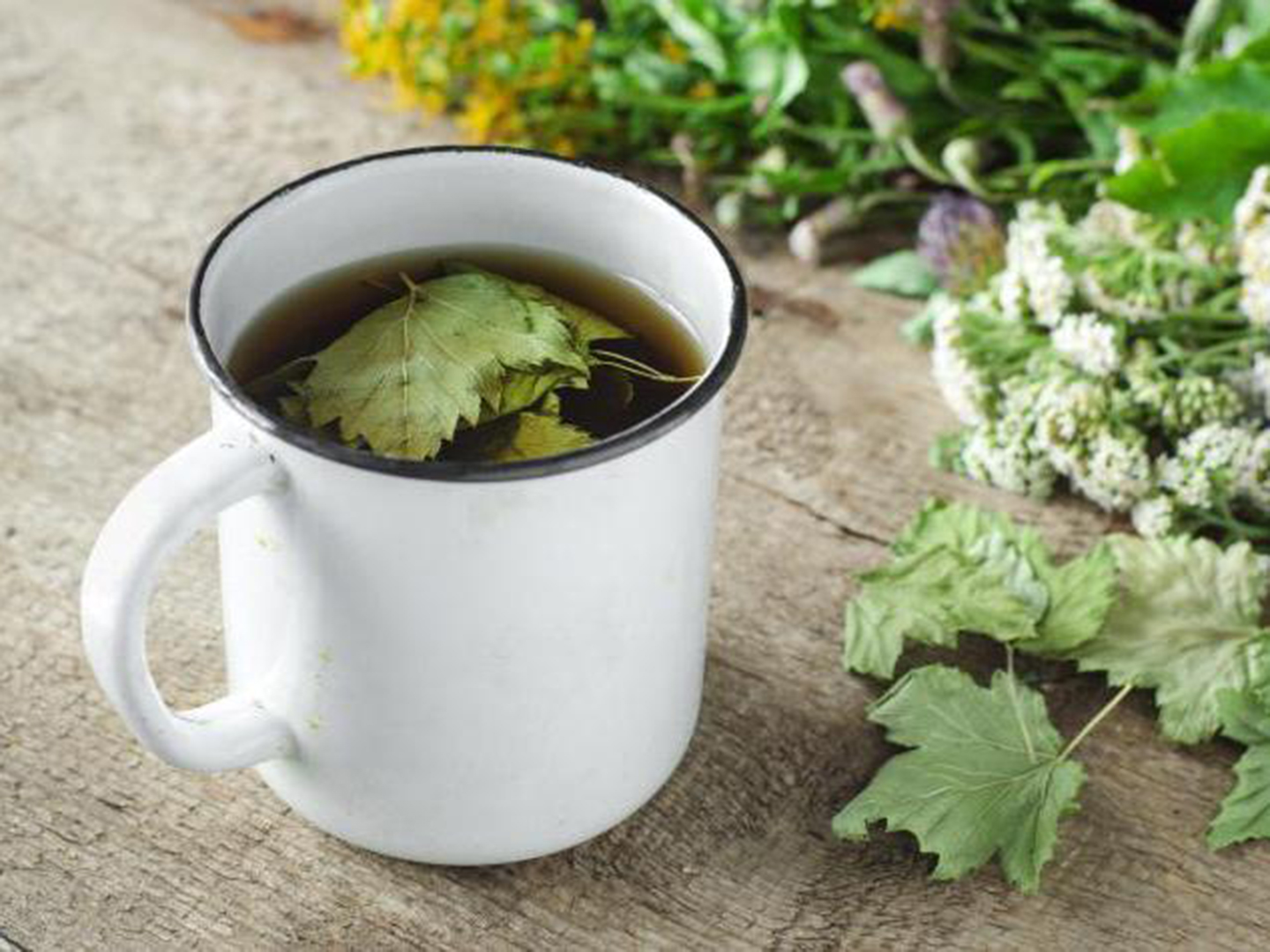 Листья малины отвар. Чай смородиновый лист. Лист смородины. Чай с листьями смородины. Чай из листьев смородины.