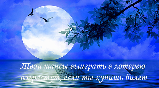 Четырнадцатый лунный день: И стена становится дверью… Четырнадцатый лунный день: И стена становится дверью…
